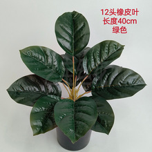 12�^��Ƥ�~ �Ř��~����Gֲ�辰�Ҿ�ֲ��b��ָ��z���~������