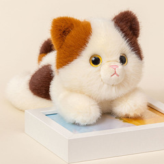 猫の人形のテーブルと人形のぬいぐるみのぬいぐるみのおもちゃが枕を抱いて誕生日プレゼントを飾っている