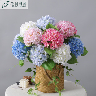 ��֦���½�����滨  �Ҿӿ͏d�Ƶ��b��̻�c�[���������Լٻ�