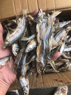 ���~���Ӹ������~��ζˮ�a��؛���~�ɺ��aƷС�~ʳ���Pβ�~����