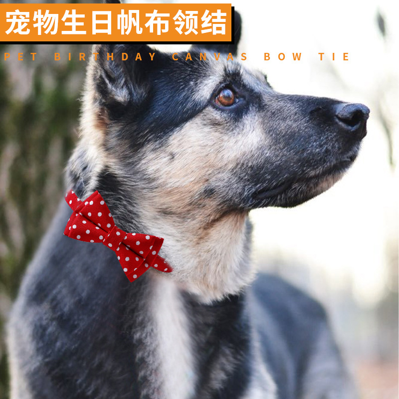 Productos para mascotas collar de perro punto de onda algodón piel suave collar de gato collar de perro collar de gato mayorista