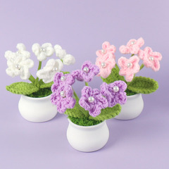 Finished cross-border hand-knitted wool forget-me-not small potted plant office table car bestie gift manufacturer wholesale