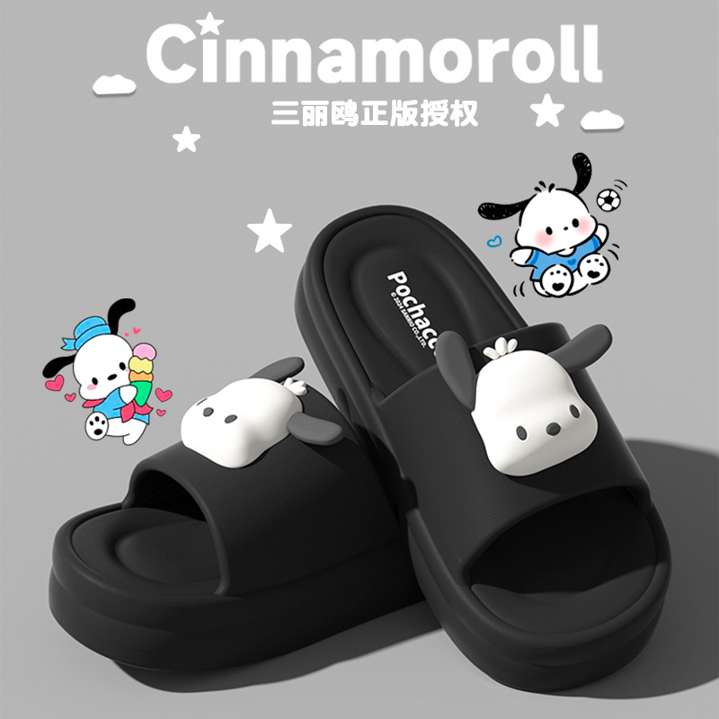 파차 독-블랙