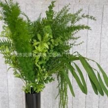 ��cɭϵ���滨�Gֲ�J���ݷ������Gֲ����ֲ��پGֲ�쾰���l