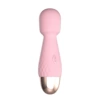 Mini (Sakura Powder)