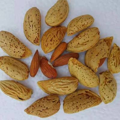 跑江湖地攤巴旦木散裝年貨休閑零食堅果炒貨巴旦木杏仁散裝批發