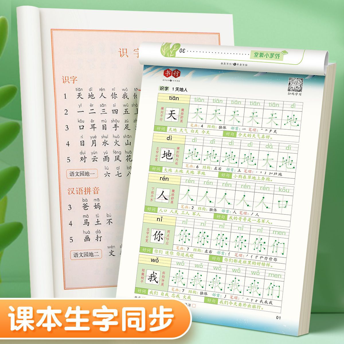 New Edition Daily 30 Characters Calligraphy Practice Book, Upper and Lower Volunts, Pen Control and Stress Reduction, Synchronous Chinese Language Grid, Special for Primary School Students' Calligraphy Practice