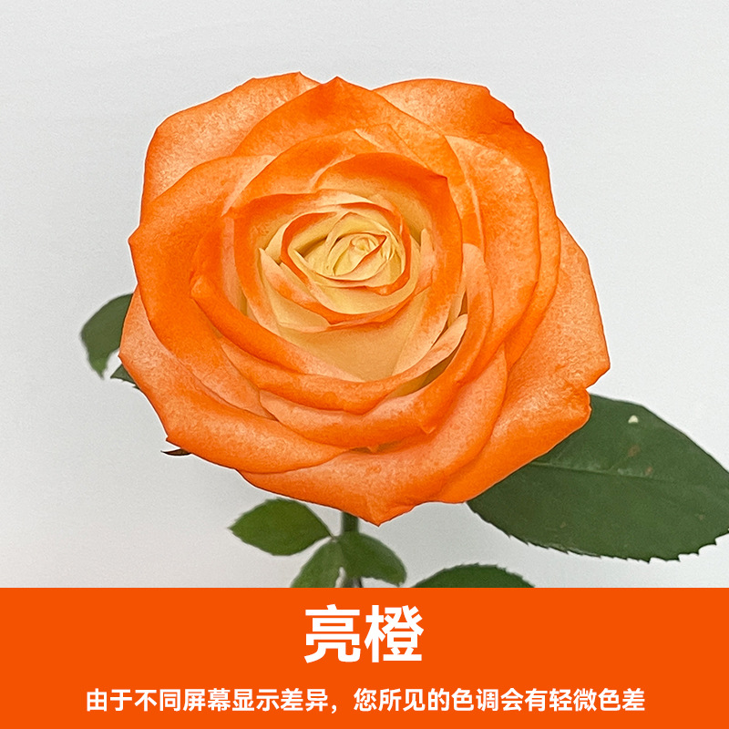 Xingle Liang Orange (480ml)