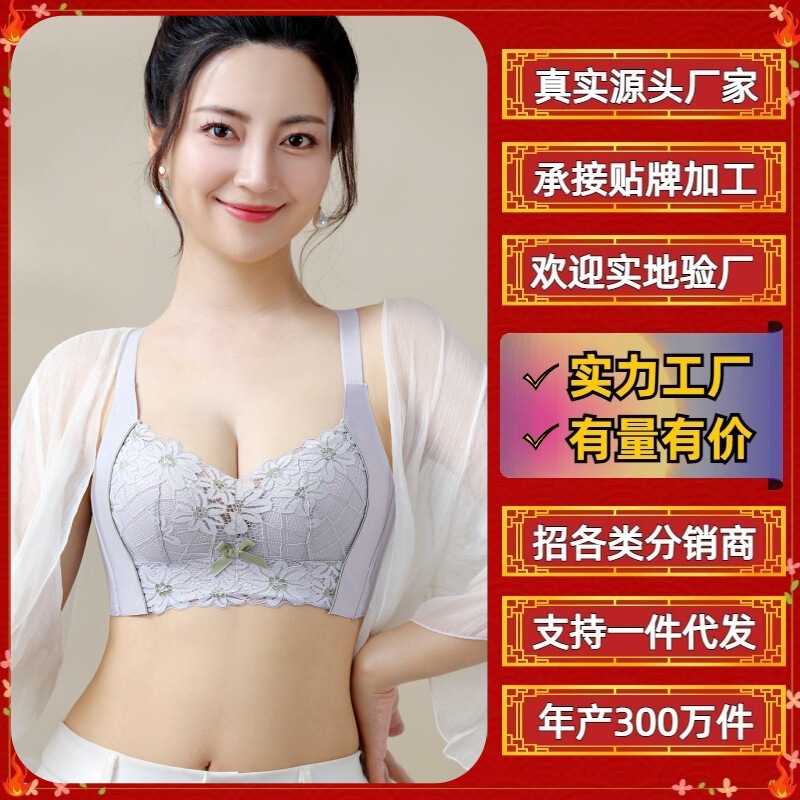 Cross-Border Southeast Asia Export Wholesale Vietnam Laos Wire-Free Intimates Women's Adjustable Bra Lace Bra 628