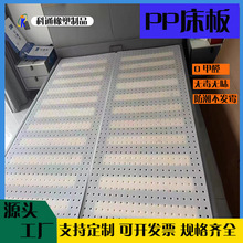工厂直供透气无甲醛床板不发霉床板防虫床板食品PP洞洞板防潮床板