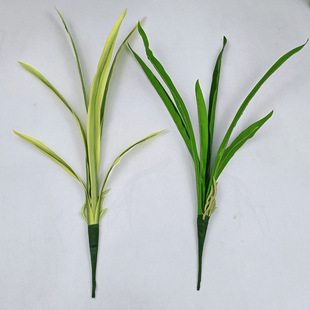 �ָ��z���m���~�ӷ���ֲ��G�~���m�~���m�~ܛ�b������ݲ廨����