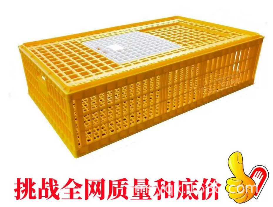 供应成鸡运输箱 鸡运输箱 鸡周转箱 成鸡运输笼