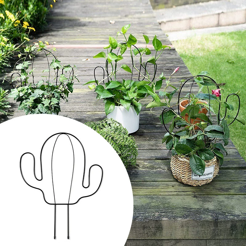 Лазательная рамка для растений с дизайном кактуса, железные художественные опоры для растений, балконное ограждение и вольер для суккулентов.