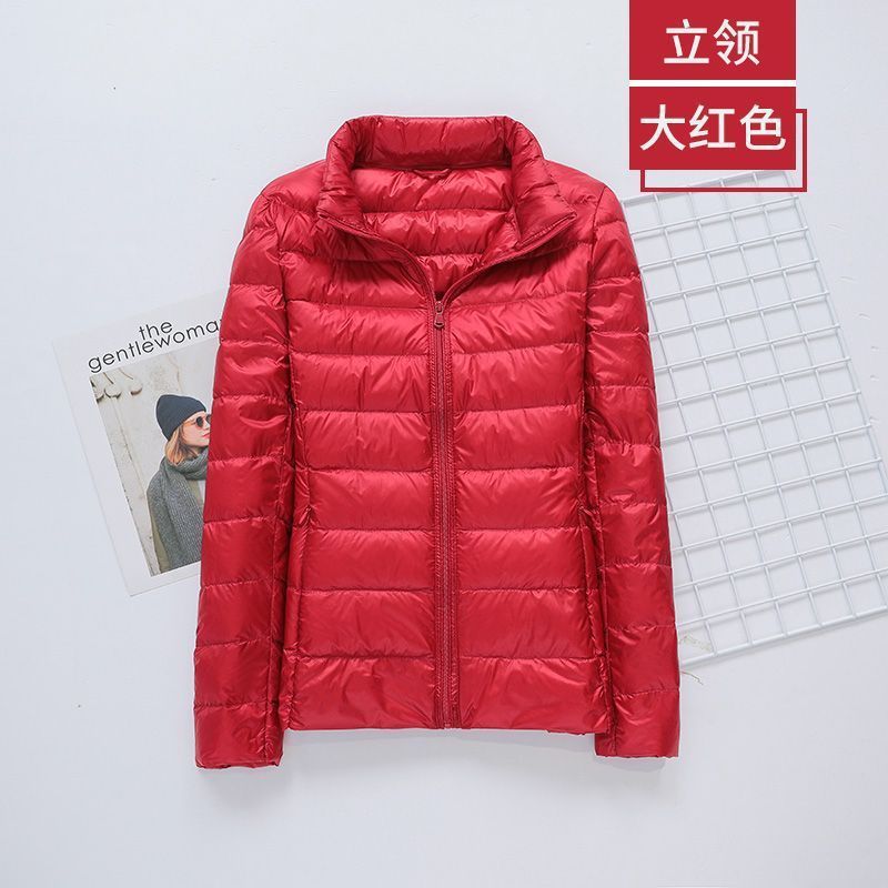 빅 레드(스탠드 칼라)