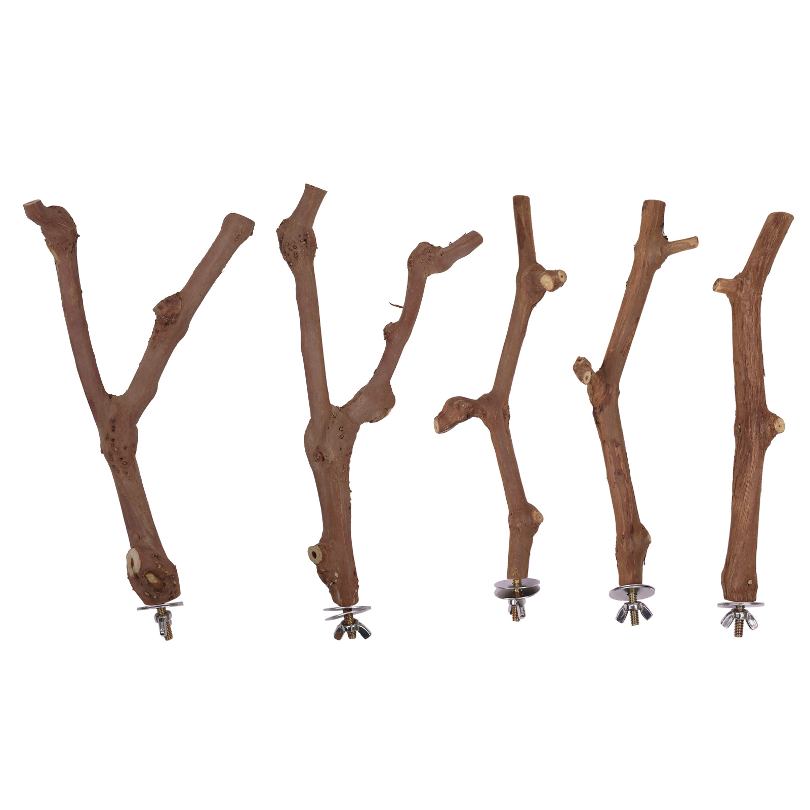 포도나무 가지 5종 세트