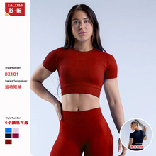 DFYNE�羳����o�p��������\���ܲ������ٸɸߏ��Զ����٤��Ů