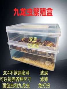 Kowloon insect feeding box foreign insect bread worm transparent larvae separation and reproduction filter fecal crawling pet nest ant feed