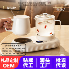 双炉电热杯办公室养生杯小型加热水杯养生壶迷你型烧水花茶玻璃壶