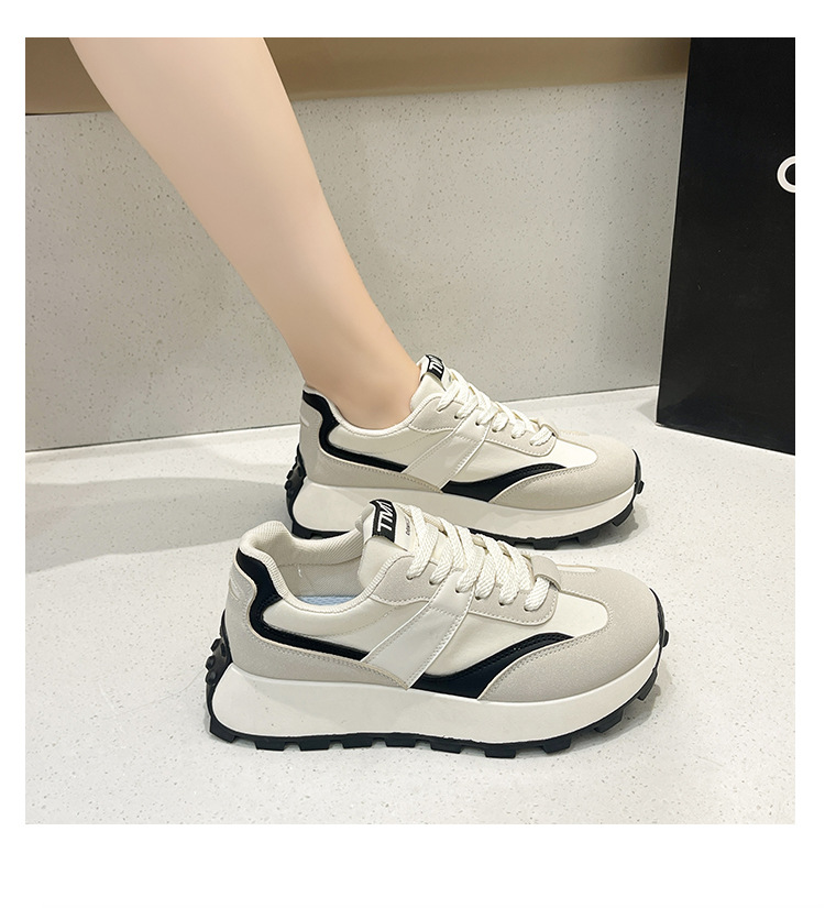 排版 (11).jpg