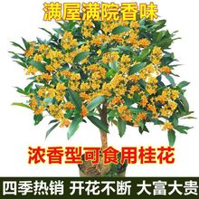 �ļ��𻨘���B�����������̨ͥԺ�ļ��_����𻨻��Ϙ��҃��׻�