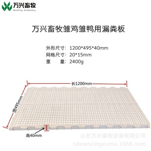 �u���Z������©�S���u����©�S�ذ�W���ÈDƬ���r����̖