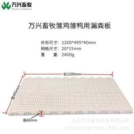 鸡鸭鹅用塑料漏粪板鸡舍用漏粪地板网耐用图片、价格、型号