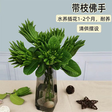 ��֦ˮ�B����ˮ����ֹϷ��ֹ����ְ����幩������������r���r��