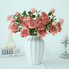 �Wʽ��֦����3�^��߅õ��ٻ��Ҿӻ�c�b[���߼��з��滨���l