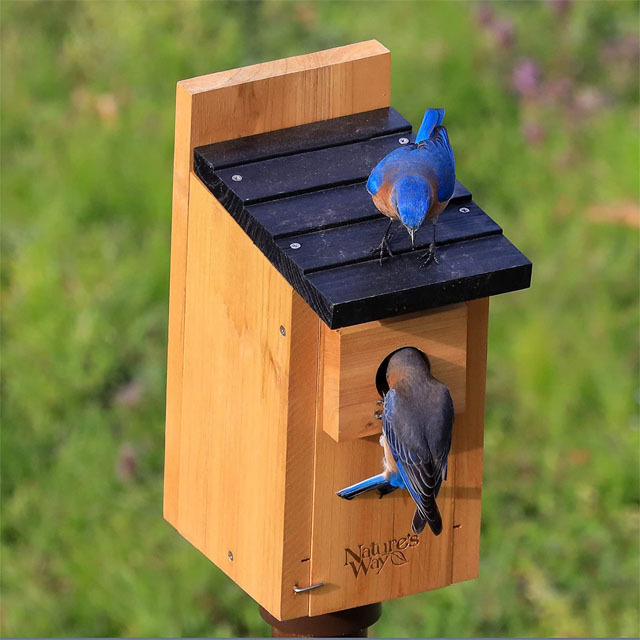Outdoor Wooden Bird Cage Anti-Rat Hanging Bird Feeder Courtyard Garden Bird Feeder Wooden Bird's Nest