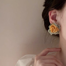 ɽ�軨�_�r~��ˇ�����F���G��һֻ���hɭϵ��ϵ�AĘ����P���AŮ