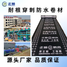 lˮϷNֲ͸̷ˮ܇픰ˮSBS