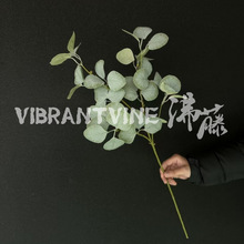 ����Gֲ�O���~ɭϵ��Y���û�ˇ����ܛ�b��������~�ķ���G�~