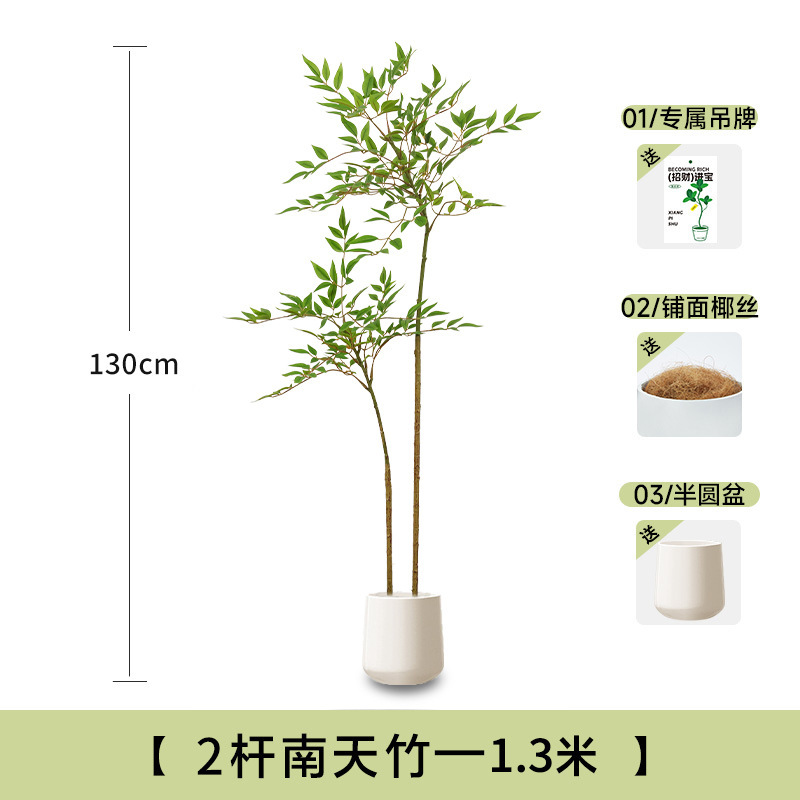 假绿植装饰仿真南天竹室内盆栽大型落地摆件客厅轻奢仿生植物造景|undefined