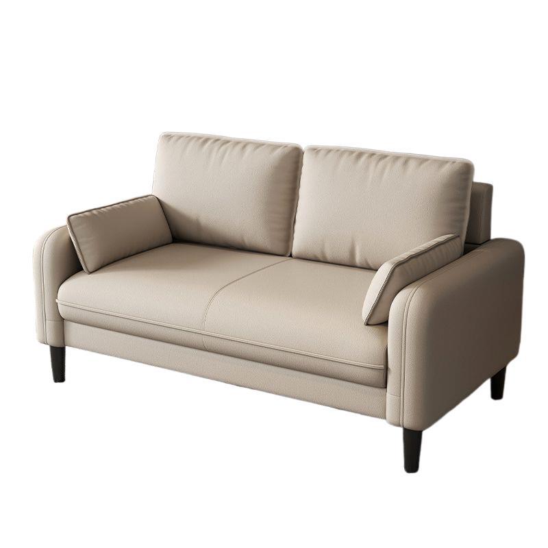 Light Luxury Small Apartment Double or Triple Sofa for Rental Apartment, Rest Area, Reception, Beauty Salon, Homestay, or Clothing Store 5