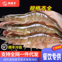 海水大蝦鮮活海鮮超大青島海蝦冷凍白蝦凍蝦商用整箱批發基圍蝦