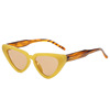 Fashionable trend sunglasses, brand glasses solar-powered, cat's eye, European style