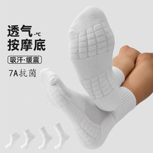 ��ɫ�Ӻ�ë�����\���m�п��ﶬ�@���m��������͸��p�����LͲ�m��