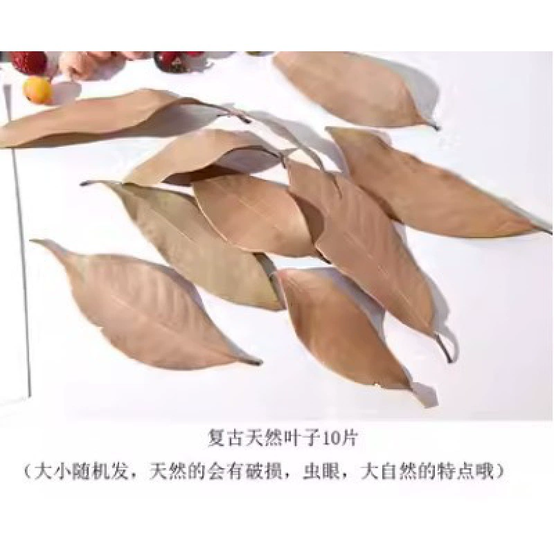 Organic sample, photo frame handmade, Christmas materials set, DIY