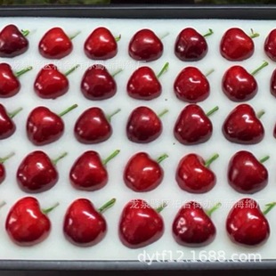 Factory-Supplied Cherry Shock-Proof Sponge Packaging/Cherry Shock-Proof Sponge Inner Support/Cherry Shock-Proof Sponge Lining