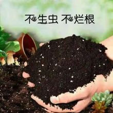 种菜种花通用型营养土养花专用花土土壤多肉绿萝有机肥料种植泥萌