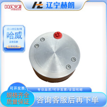 HAWE进口R 5,8-5,8-5,8-5,8 轴向柱塞泵 哈威品牌R型泵 泵站配套