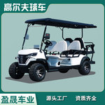 高尔夫球车外贸电动观光车4座景区观光车2人座电动巡逻车