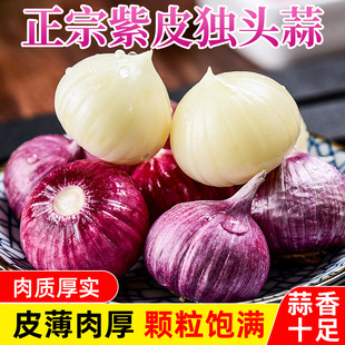 ��Ƥ���^�����l���k�r���߲�2026�ꪚ������^��؛�������Ը���