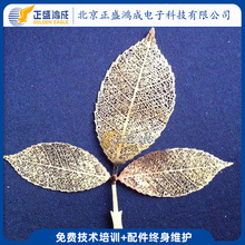 �S�~�g���~��僽��S�~�g���~�ӡ��S�~�g�̘������l