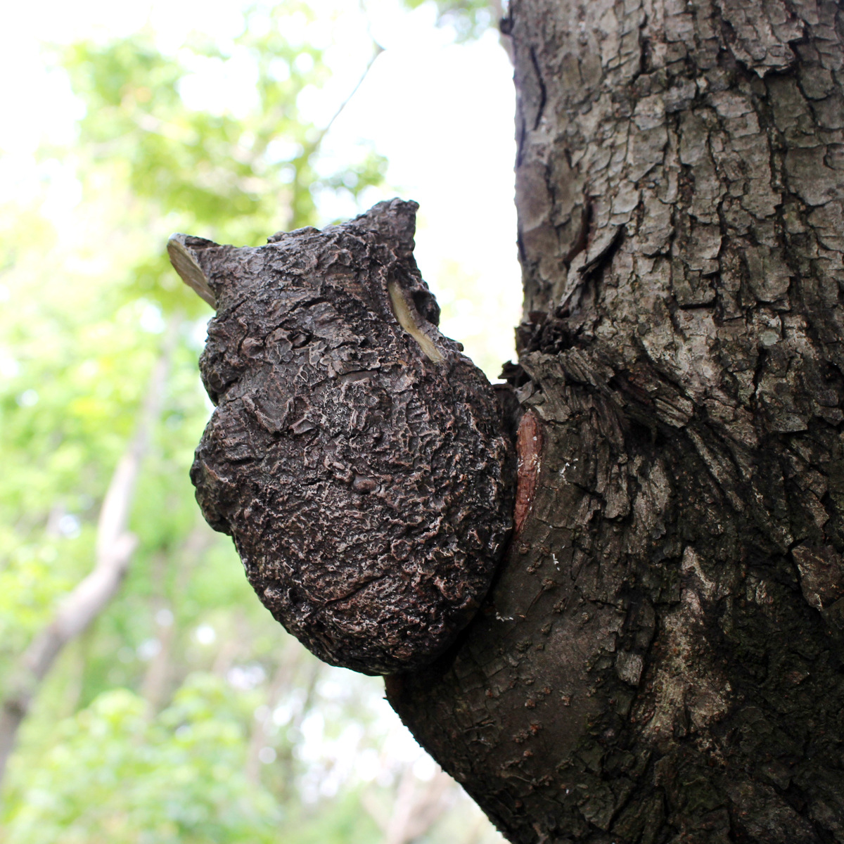  Owl Courtyard Garden Hiding Cat Elf Tree Hug Outdoor Tree Sculpture Decorative Resin Crafts Pendant