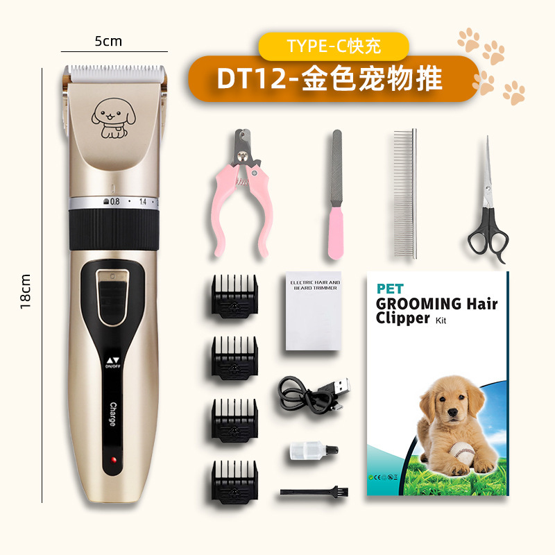 골드 일체형 + 4종 세트