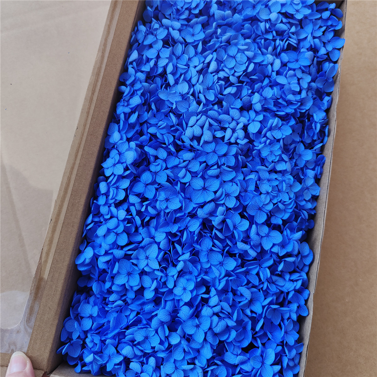 Flor eterna Hortensia Anna pequeña hoja flor seca flor real árbol de Navidad ventilador hecho a mano ramo DIY material paquete flor