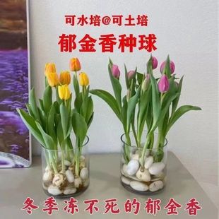 m㡿NļNֲˮֲﻨܾGֲ