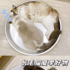 大型アルミポット猫の巣夏のペットラウンドポットノンスティック毛犬小屋クールネスト冷却睡眠冷却アイスネスト