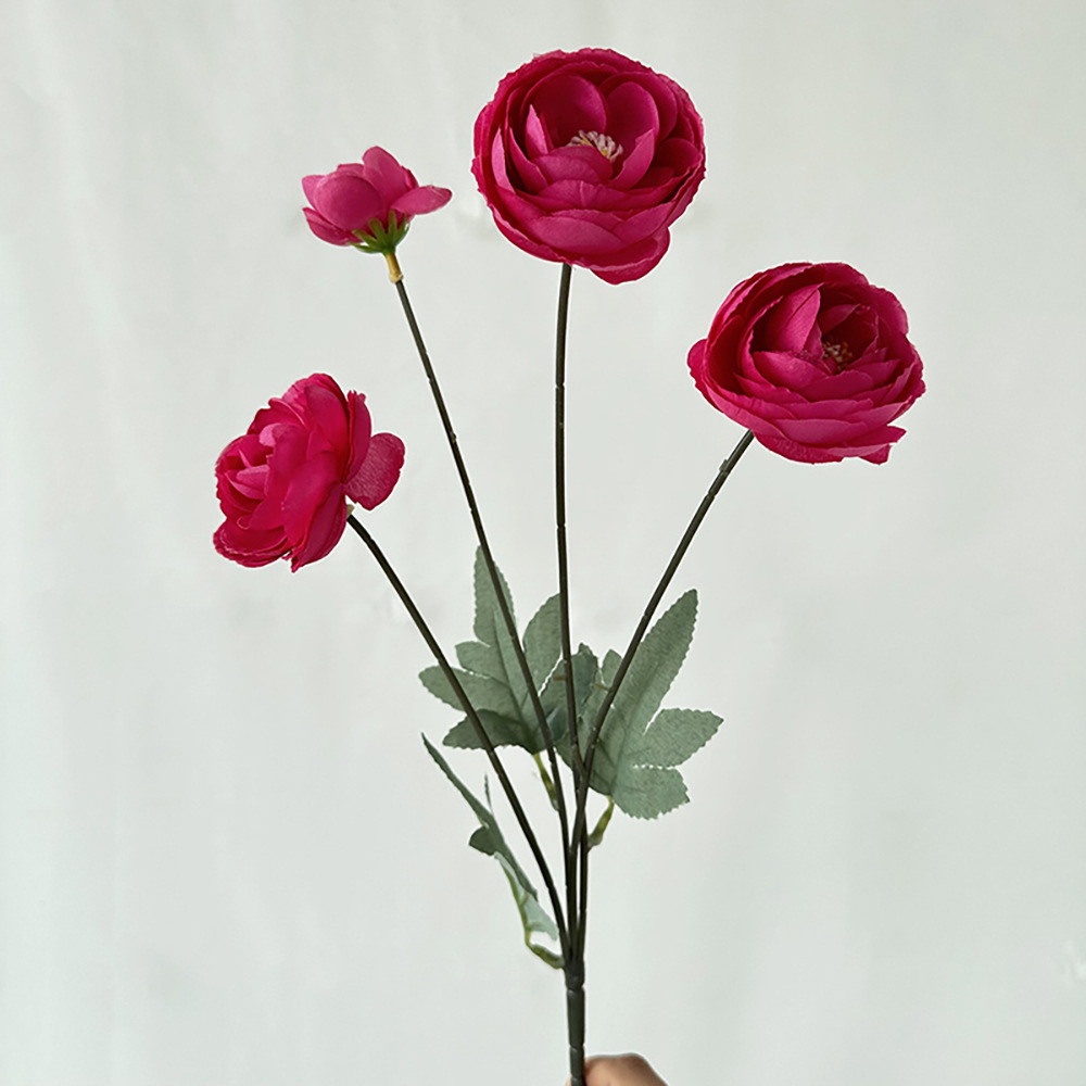 메이4 헤드 듀 로터스 로즈 레드